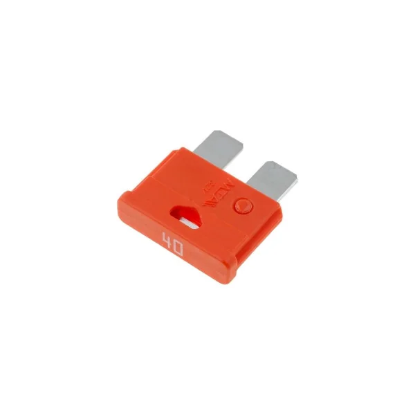 10 FUSIBLES AUTOMOBILE 40A (6080)