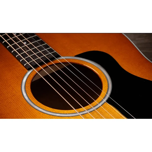 217e Plus Special Edition - honeyburst