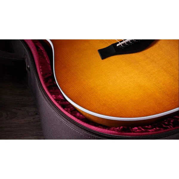 217e Plus Special Edition - honeyburst