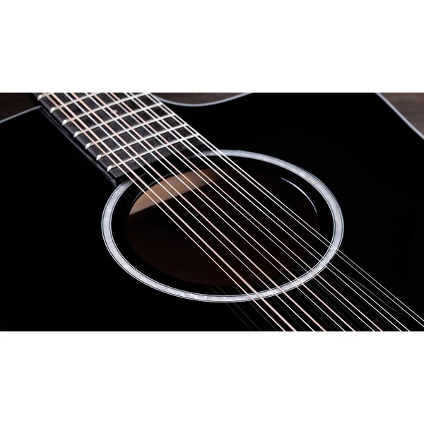 250ce-BLK Plus 12-String - black