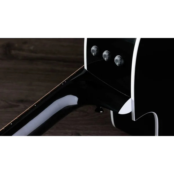 250ce-BLK Plus 12-String - black