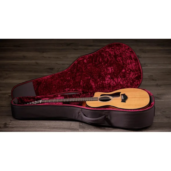 254ce Plus 12-String - natural
