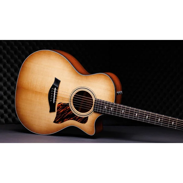 50th Anniversary 314ce LTD - shaded edge burst