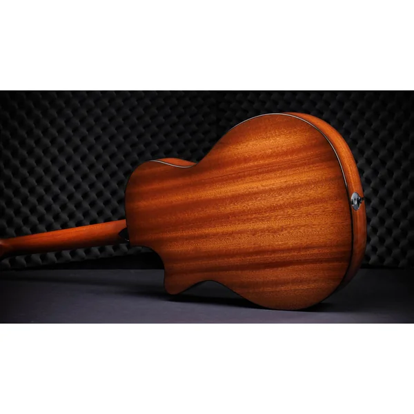 50th Anniversary 314ce LTD - shaded edge burst