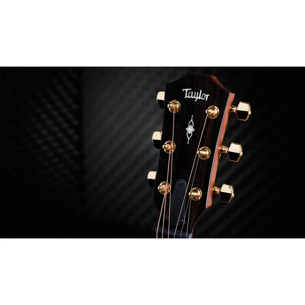 50th Anniversary 314ce LTD - shaded edge burst