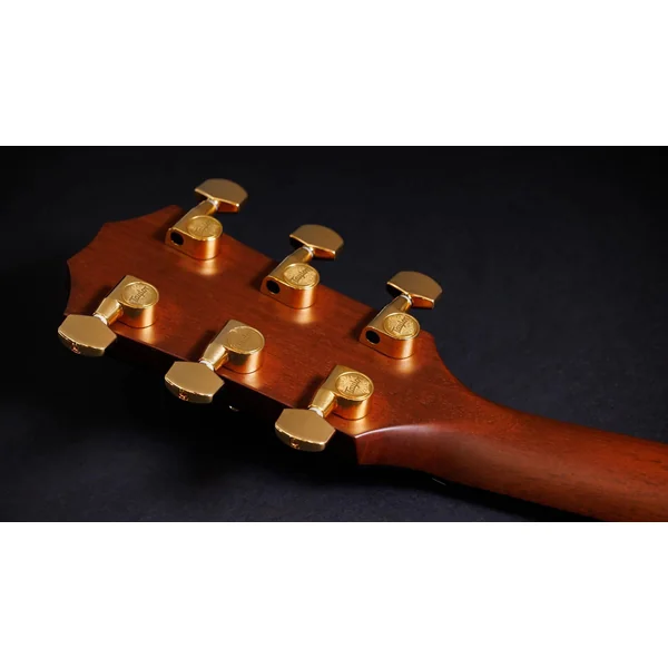 50th Anniversary 314ce LTD - shaded edge burst