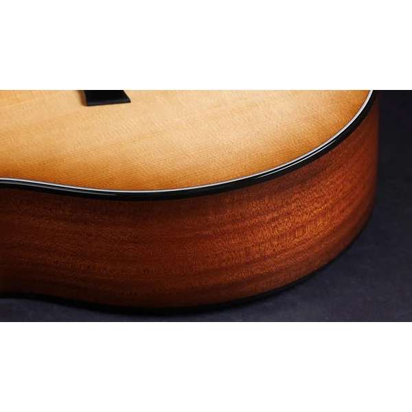 50th Anniversary 314ce LTD - shaded edge burst