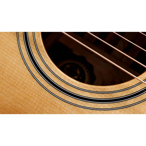 50th Anniversary 314ce LTD - shaded edge burst