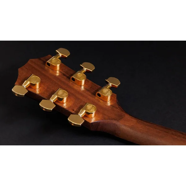 50th Anniversary AD14ce-SB LTD - tobacco sunburst top