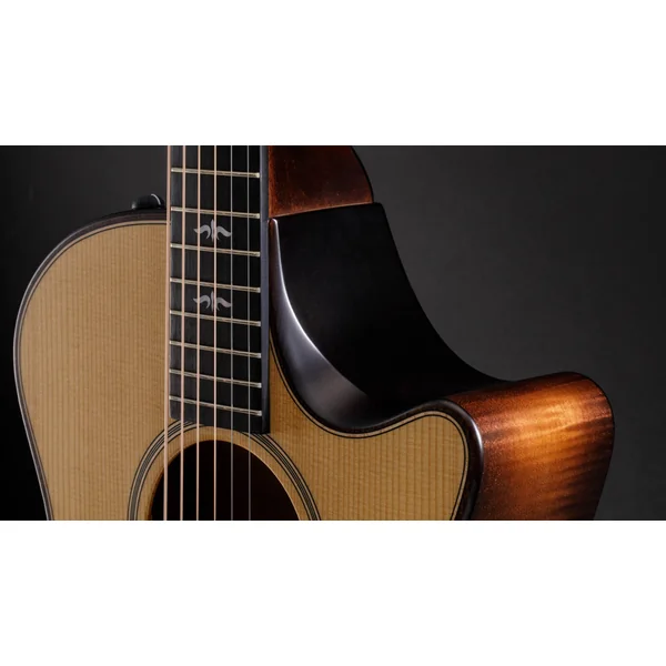 614CE Builder's Edition V-Class - natural top & wild honey burst