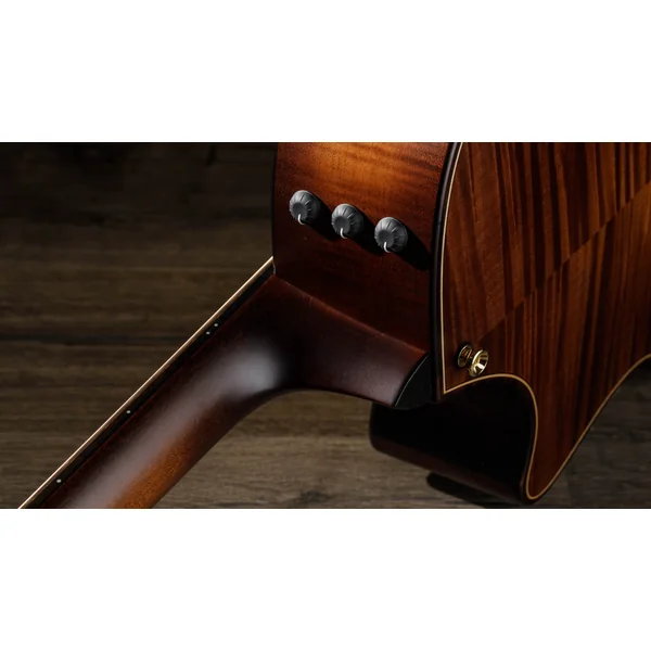 614CE Builder's Edition V-Class - natural top & wild honey burst