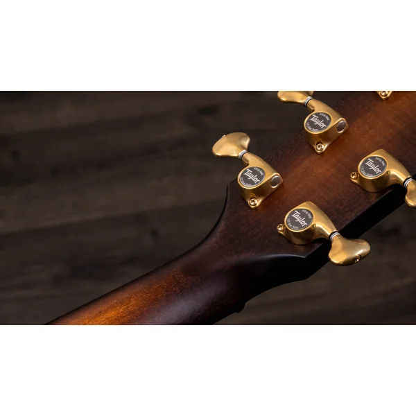 614CE Builder's Edition V-Class - natural top & wild honey burst