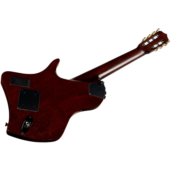 Abasi Stage 7 (7-String) - ziricote