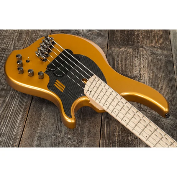 Adam Nolly Getgood NG2 5 2-Pickups - gold matte
