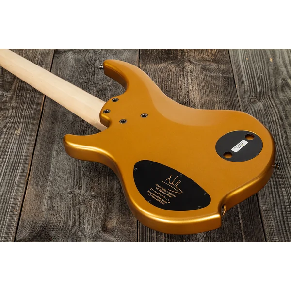 Adam Nolly Getgood NG2 5 2-Pickups - gold matte