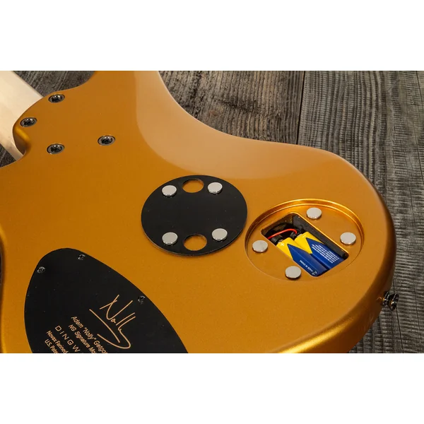 Adam Nolly Getgood NG2 5 2-Pickups - gold matte