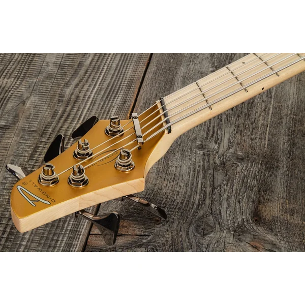 Adam Nolly Getgood NG2 5 2-Pickups - gold matte