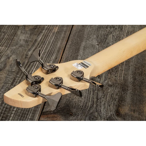 Adam Nolly Getgood NG2 5 2-Pickups - gold matte