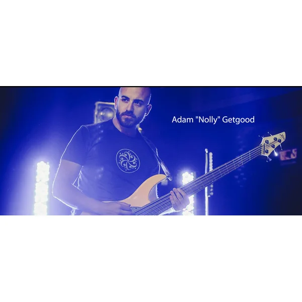 Adam Nolly Getgood NG3 3-Pickups - blueberry