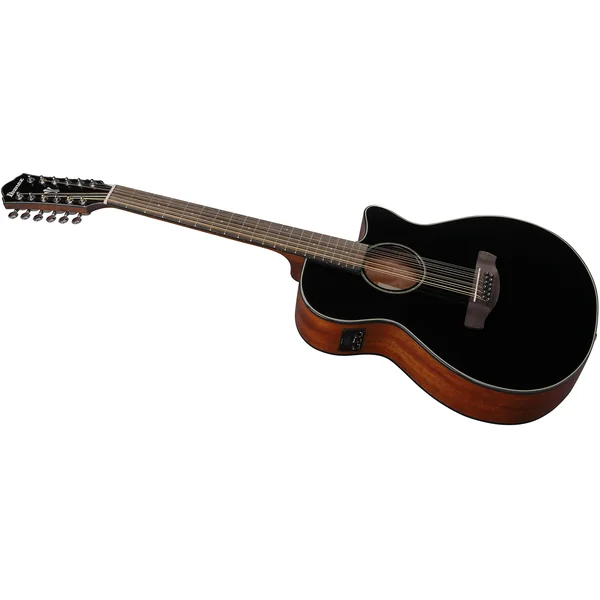 AEG5012 BKH 12-String - black