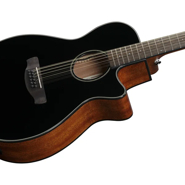 AEG5012 BKH 12-String - black