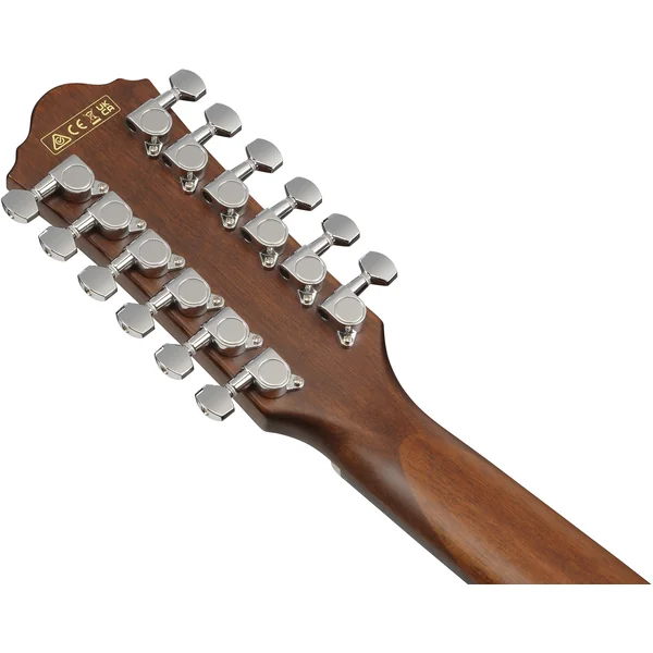 AEG5012 BKH 12-String - black