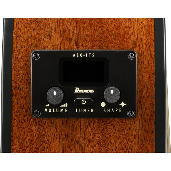 AEG5012 BKH 12-String - black