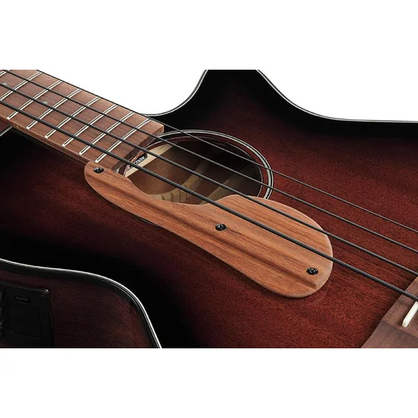 AEGB24 MHS - mahogany sunburst hg
