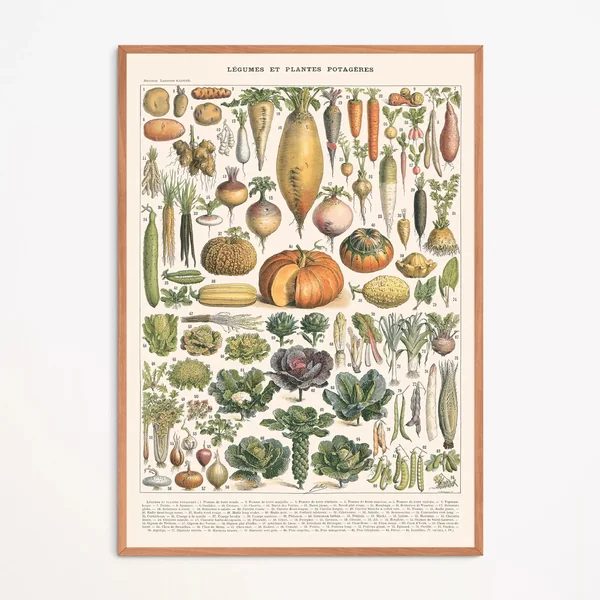 Affiche : Légumes et Plantes Potagères