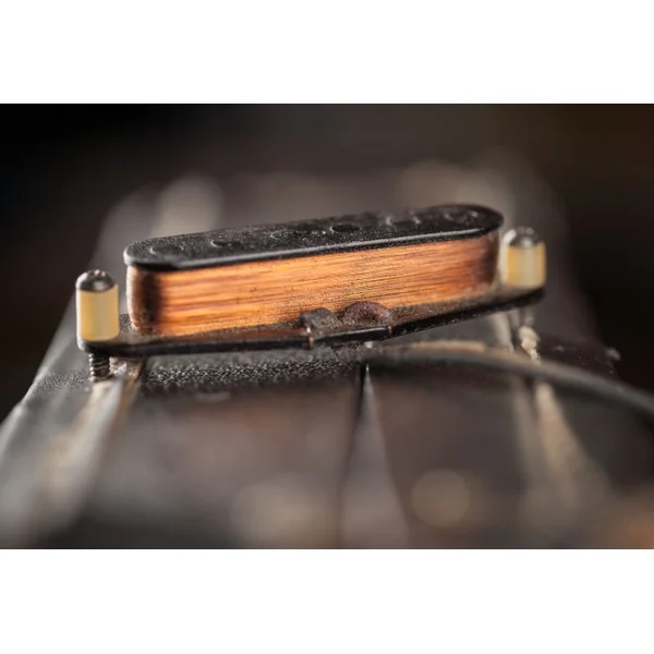 AN3401 Antiquity Duo-Sonic - neck