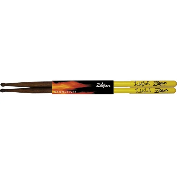 ASTG Trilok Gurtu Artist Series