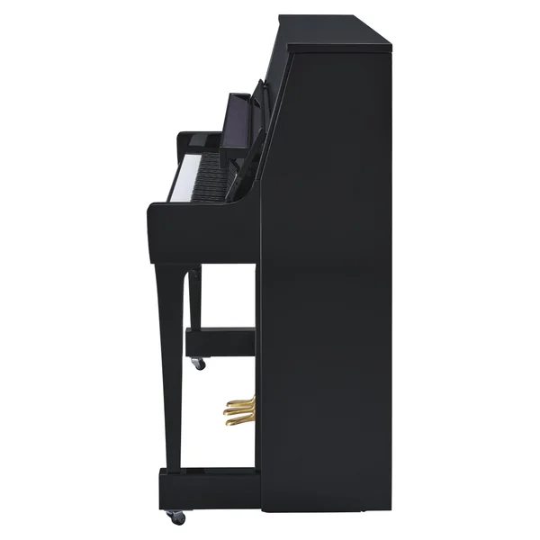 B20 PE Silent Piano