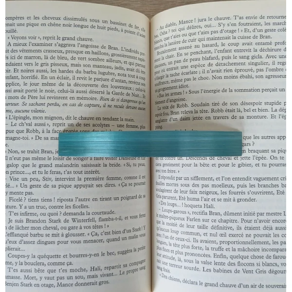 Bague de lecture avec Marqueterie de Paille Bleue
