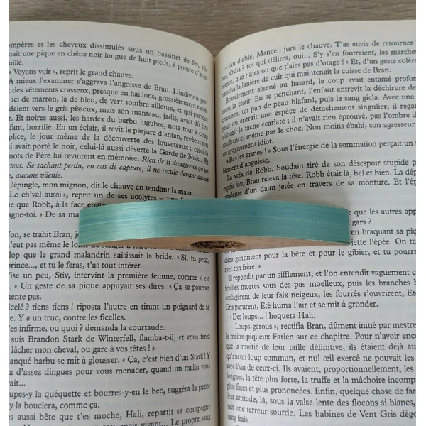 Bague de lecture avec Marqueterie de Paille Turquoise