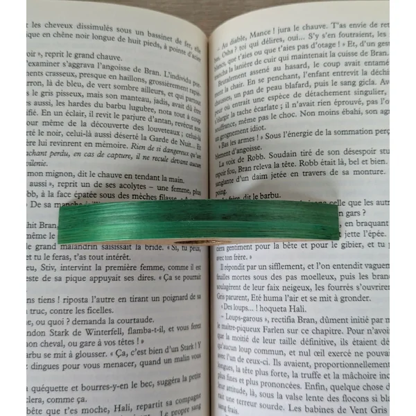 Bague de lecture avec Marqueterie de Paille Verte