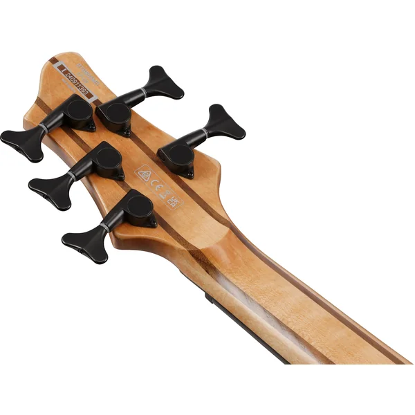 Bass Workshop BTB805MS FNL 5-String - florid natural low gloss