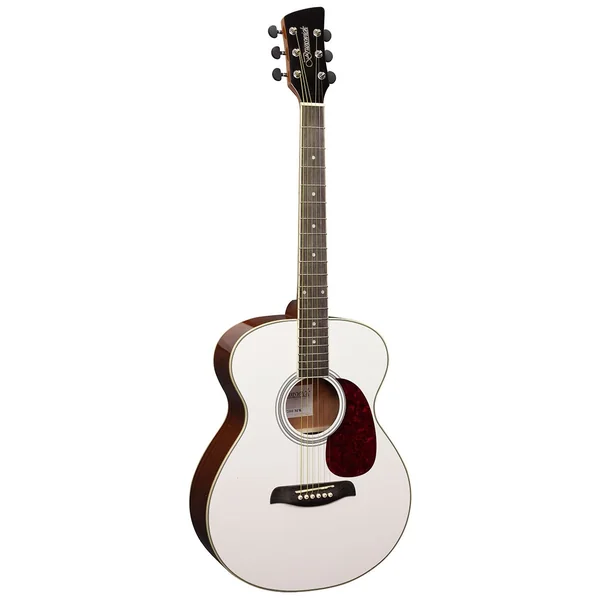 BF200 Gloss