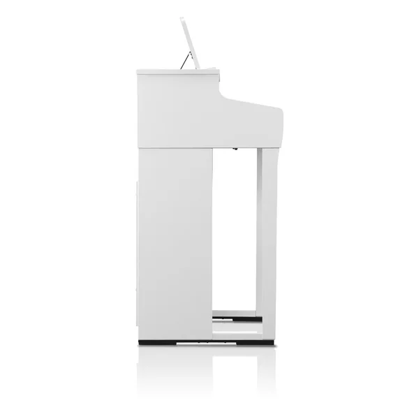 CA 401 White