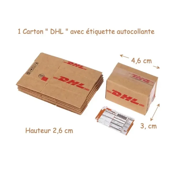 Carton miniature DHL 1/12e avec étiquette