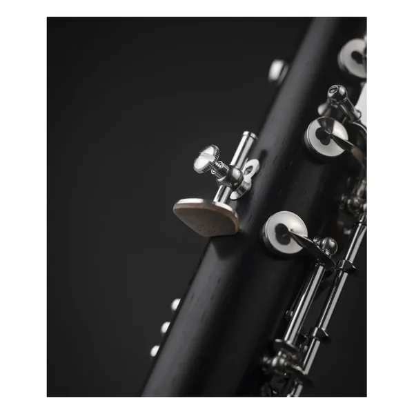 Clarinette Mib Muse - Selmer