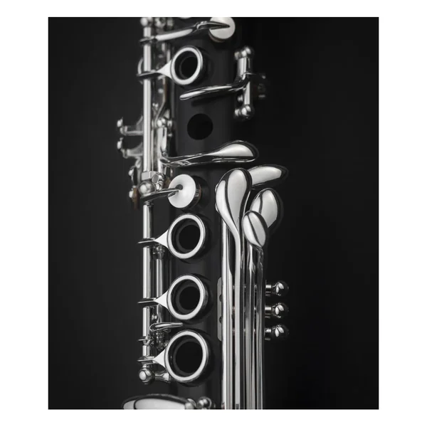 Clarinette Mib Muse - Selmer