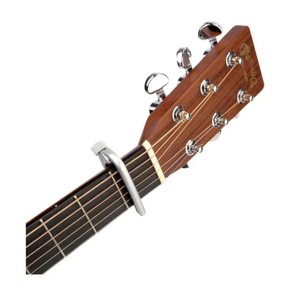 D'Addario PW-CP-02S NS Capo Pro Silver