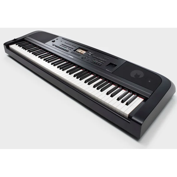DGX 670 B