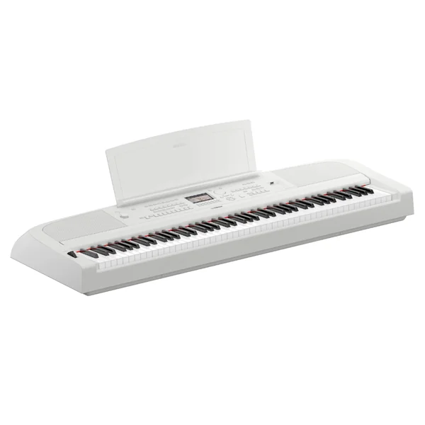 DGX 670 WH