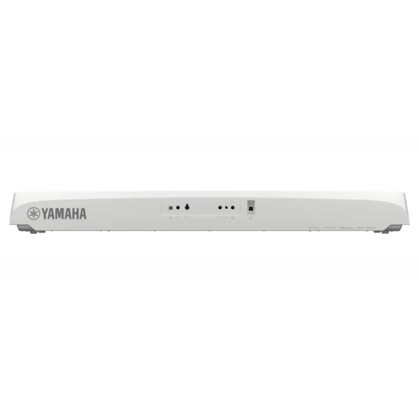 DGX 670 WH