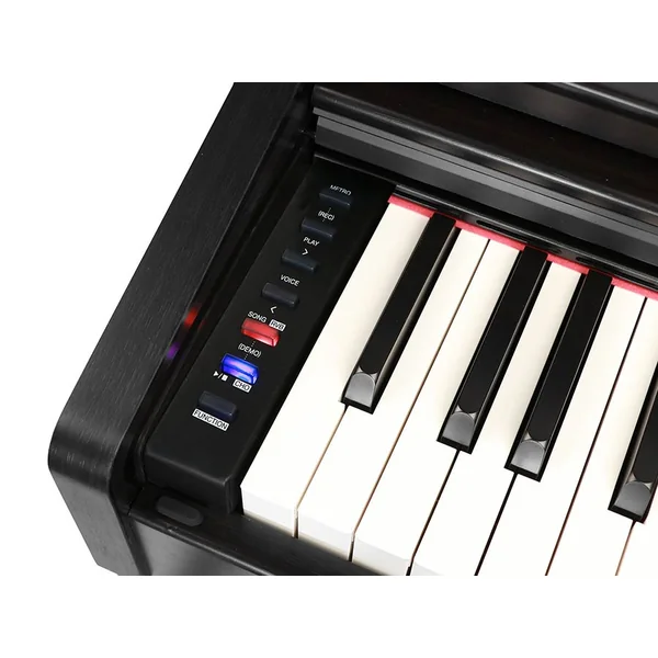 DP 260 BK