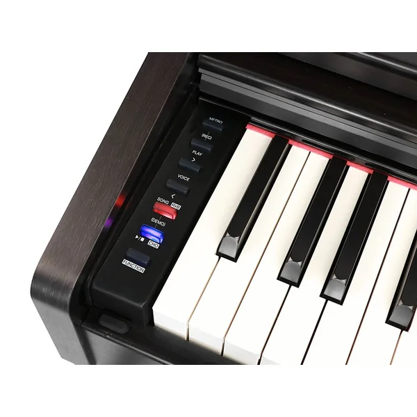 DP 260 RW