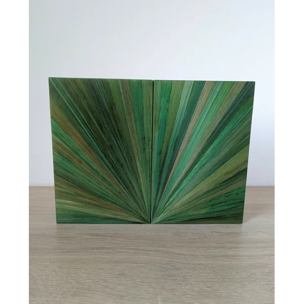 Duo de Serre-livres avec Marqueterie de paille verte