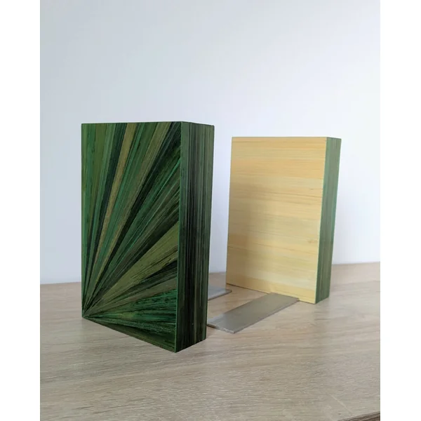 Duo de Serre-livres avec Marqueterie de paille verte