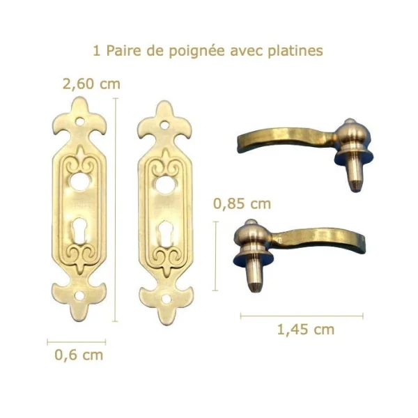 Enjoliveur et poignée de porte " fleur de Lys "